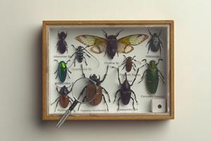 レトロな魅力を再発見！ジュークボックスの選び方と活用法ガイド